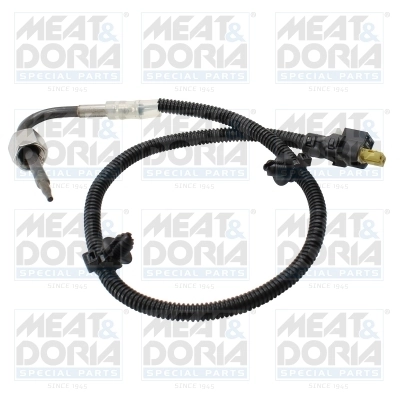 Sensor, exhaust gas temperature